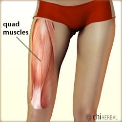 Muscular Pain - Muscular damage -Soreness - Joints