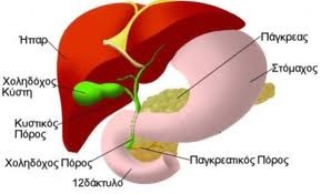 Liver-Kidney-Gall Bladder Flush-Detox