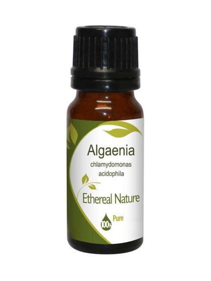 Ethereal Nature Algaenia peptides 10ml - high-tech natural active ingredient, a peptide concentrate