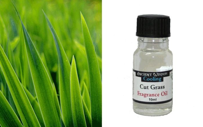 Ancient Wisdom Cut Grass aromatic oil 10ml - Αρωματικό έλαιο καύσης κομμένο γρασίδι