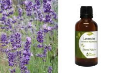 Ethereal Nature Lavender Essential oil 50ml - Λεβάντα αιθέριο έλαιο (Lavandula Angustifolia)