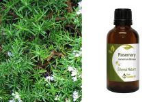 Ethereal Nature Rosemary essential oil 50ml - Δεντρολίβανο αιθέριο έλαιο (Rosemarinus Officinalis)