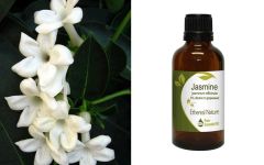 Ethereal Nature Jasmine essential oil 5%dilution in grapeseed oil 50ml - Γιασεμί αιθέριο έλαιο 5% σε σταφυλέλαιο