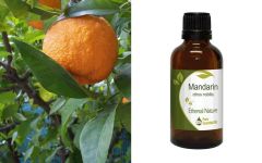 Ethereal Nature Mandarin essential oil 50m - Μανταρίνι αιθέριο έλαιο (Citrus Nobilis)