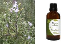 Ethereal Nature Thyme Essential oil 50ml - Θυμάρι αιθέριο έλαιο (Thymus Vulgaris)