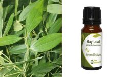 Ethereal Nature Bay Leaf essential oil 10ml - Δάφνη αιθέριο έλαιο (Pimenta Racemosa)