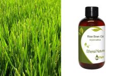 Ethereal Nature Rice Bran oil 100ml - Έλαιο από πίτουρο ρυζιού (Ρυζέλαιο) 