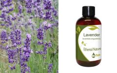 Ethereal Nature Lavender Carrier oil 100ml - Λεβαντέλαιο (λάδι λεβάντας) 