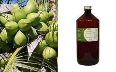 Ethereal Nature Fractionated Coconut oil 1litre - Διυλισμένο Λαδι Καρυδας 1λίτρο