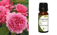 Ethereal Nature English Rose fragnance ess.oil 10ml - Αρωματικό αιθέριο έλαιο ρόδου Αγγλίας