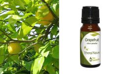 Ethereal Nature Grapefruit ess.oil 10ml - Γκρεϊπφρουτ αιθέριο έλαιο