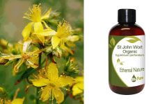 Ethereal Nature St John's Wort organic oil 100ml - Βαλσαμέλαιο (Σπαθόλαδο) οργανικό έλαιο