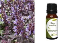  Ethereal Nature Sage Essential Oil 10ml - Φασκόμηλο αιθέριο έλαιο (Salvia Officinalis)
