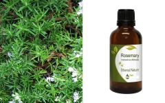 Ethereal Nature Rosemary carrier oil 30ml - Δεντρολίβανο έλαιο βάσης