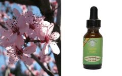 Crystal Herbs Cherry Plum (Dr Bach's) remedy 25ml - Ανθοϊαμα δαμασκηνιάς