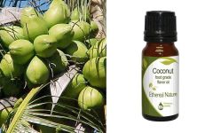 Ethereal Nature Coconut Flavor oil 10ml - carries the warm, familiar and exotic flavor of coconut