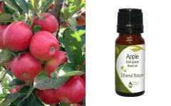Ethereal Nature Apple flavor oil 10ml - αναδύει ένα φρουτώδες άρωμα ζουμερού φρέσκου μήλου με νότες αχλαδιού ανανά