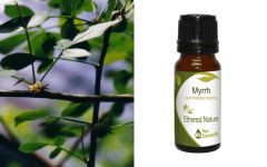 Ethereal Nature Myrrh Ess.oil 10ml - Commiphora myrrha 