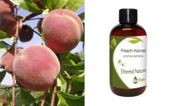 Ethereal Nature Peach Kernel oil 100ml - είναι πλούσιο σε βιταμίνες Α, Β και Ε