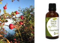 Ethereal Nature Rosehip Organic oil 100ml - Άγριο Τριαντάφυλλο (Rosa Rubignosa) 100ml