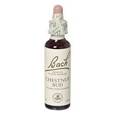 Bach Rescue Remedy Chestnut Bud 20ml - Keeps repeating the same mistake