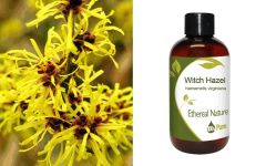 Ethereal Nature Witch Hazel (Witchhazel) Oil 100ml - Natural anti-inflammatory oil