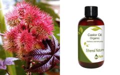 Ethereal Nature Castor oil organic 100ml - Οργανικό (βιολογικής καλλιέργειας) καστορέλαιο 