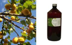 Ethereal Nature Apricot Kernel Oil 1liter - Carrier oil in economical pack