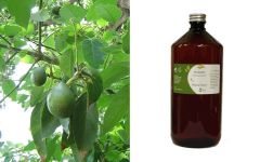 Ethereal Nature Avocado Oil 1000ml - rich in lecithin and vitamins