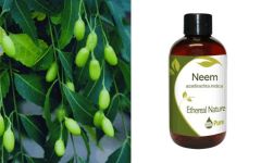 Ethereal Nature Neem Oil 1000ml - Λάδι Νιμ (Neem Oil) 1 λίτρο