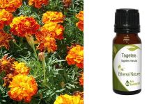 Ethereal Nature Tagetes ess.oil 10ml - Καλέντουλα (Ταγέτης) αιθ.ελαιο