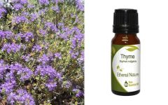Ethereal Nature Thyme Essential oil 10ml - Θυμάρι αιθέριο έλαιο (Thymus Vulgaris)
