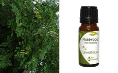 Ethereal Nature Rosewood ess.oil 10ml - Ροδόξυλο αιθέριο έλαιο
