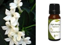 Ethereal Nature Night Jasmine aromatic oil 10ml - Γιασεμί νυχτερινό