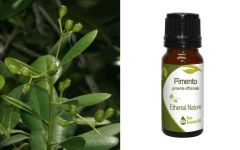 Ethereal Nature Allspice (Pimento) essential oil 10ml - Πιμέντο αιθέριο έλαιο