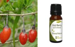 Ethereal Nature Goji Berry extract 10ml - known for its amazing vitamin content