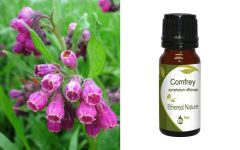 Ethereal Nature Comfrey extract 10ml - world-renowned for its remarkable healing, regenerative properties