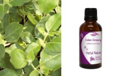 Herbal Nature Indian Ginseng tincture 50ml - Ινδικό Τζίνσενγκ Βάμμα