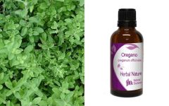 Herbal Nature Oregano tincture 50ml - Ρίγανη Βάμμα