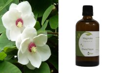 Ethereal Nature Magnolia Aromatic oil 100ml - Γλυκό, ευωδιαστό και λουλουδάτο το έλαιο της Μανόλιας