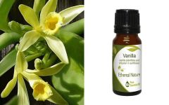 Ethereal Nature Vanilla essential oil 10ml - Αιθέριο έλαιο Βανίλια (Vanilla)
