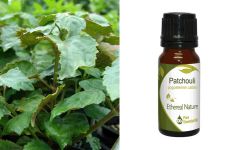 Ethereal Nature Patchouli Essential Oil 10ml