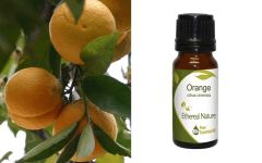 Ethereal Nature Orange ess.oil 10ml - Αιθέριο έλαιο Πορτοκαλιού 