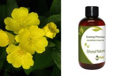 Ethereal Nature Evening Primrose Oil 100ml
