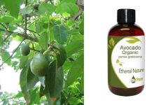 Ethereal Nature Avocado Organic Oil 100ml - Αβοκάντο οργανικό λάδι 