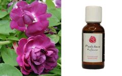 Ethereal Nature Αιθέριο έλαιο Ροδέλαιο (Rosa damascene) Κοζάνης 1% 30ml