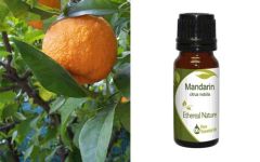 Ethereal Nature Mandarin ess.oil 10ml - Αιθέριο έλαιο Μανταρινιού 