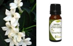 Ethereal Nature Jasmine in 5% grapeseed ess.oil 10ml - Αιθέριο έλαιο Γιασεμί 5% σε Σταφυλελαιο