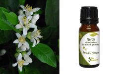 Ethereal Nature Neroli ess.oil in Jojoba oil 10ml - Αιθέριο έλαιο Νερολί (Νεράντζι) 5% σε Τζοτζομπα 