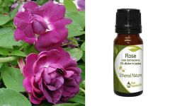 Ethereal Nature Rose (Rose Centifolia) ess.oil 10ml - Αιθέριο έλαιο Τριαντάφυλλο 5% σε Σταφυλέλαιο 